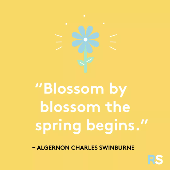 Petal by petal, spring starts to unfold.