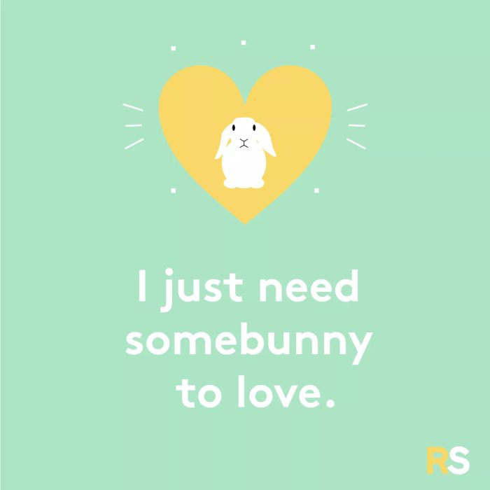 Easter quotes, captions, and messages - I just need somebunny to love.