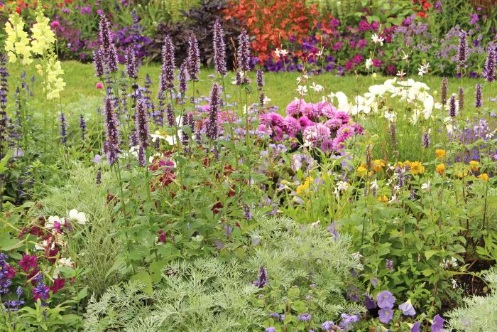 A vibrant pollinator garden filled with large summer flowers.