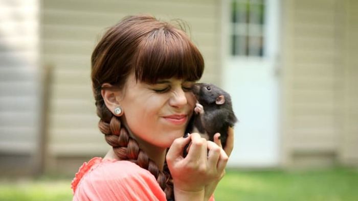 iStock/Imagesbybarbara