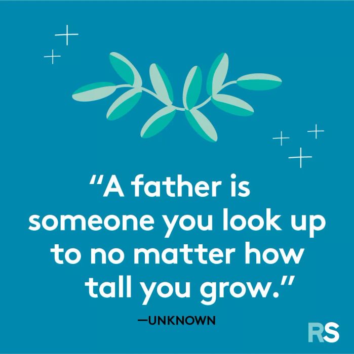 Father’s Day quotes, captions – look up to unknown