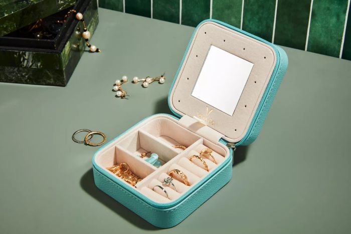 Vee Small Travel Jewelry Case