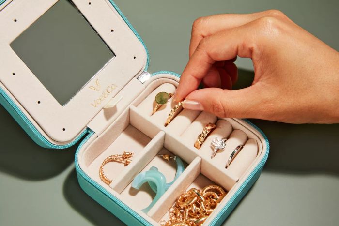 Details of the Vee Traveling Case