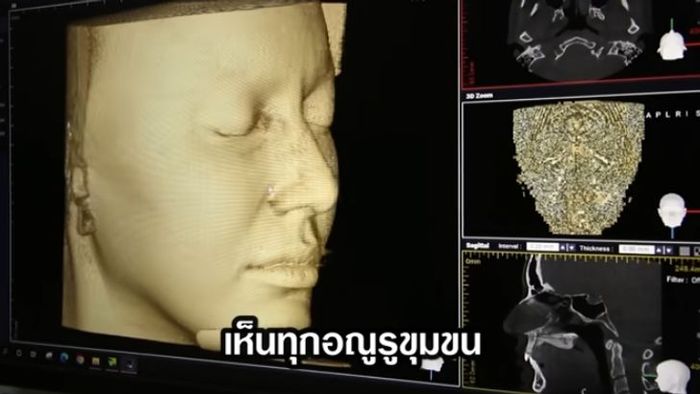 ใหม่ ดาวิกา