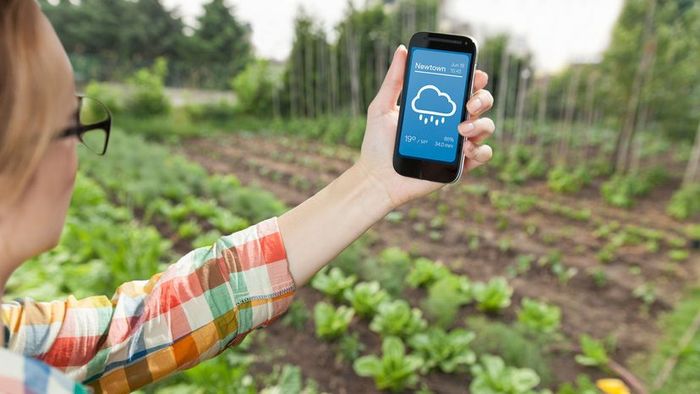 a woman using a weather app