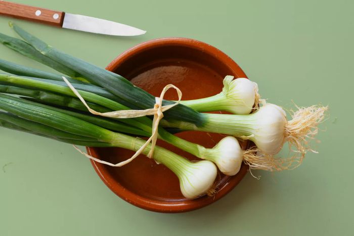 scallion-vs-green-onion-GettyImages-1325244585