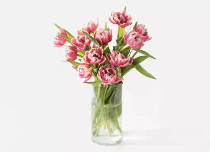 Urban Stems