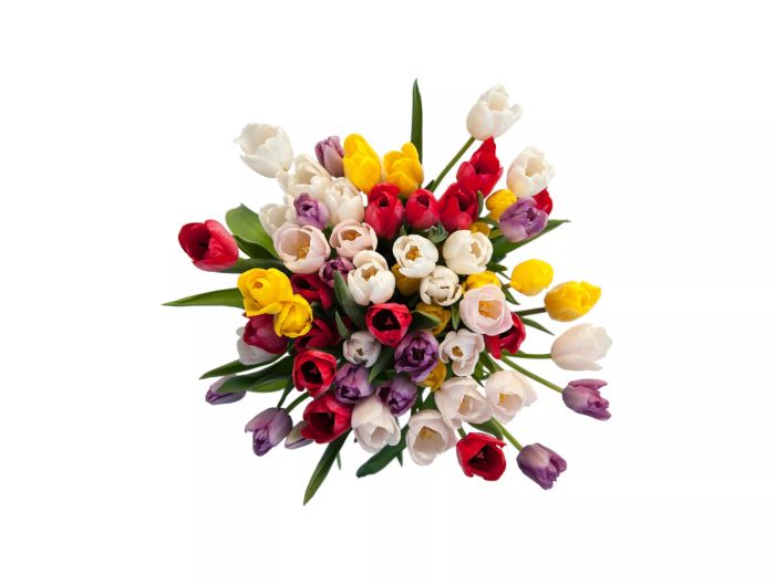 Colorful Tulip Bouquet