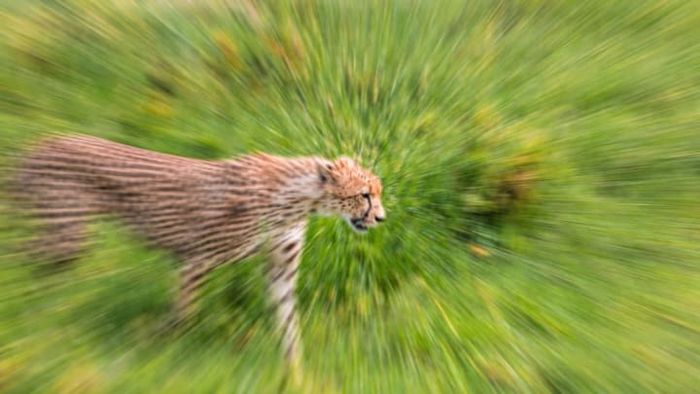 iStock