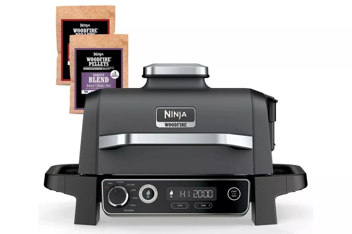 QVC Ninja Woodfire 7-in-1 Electric Outdoor Smoker