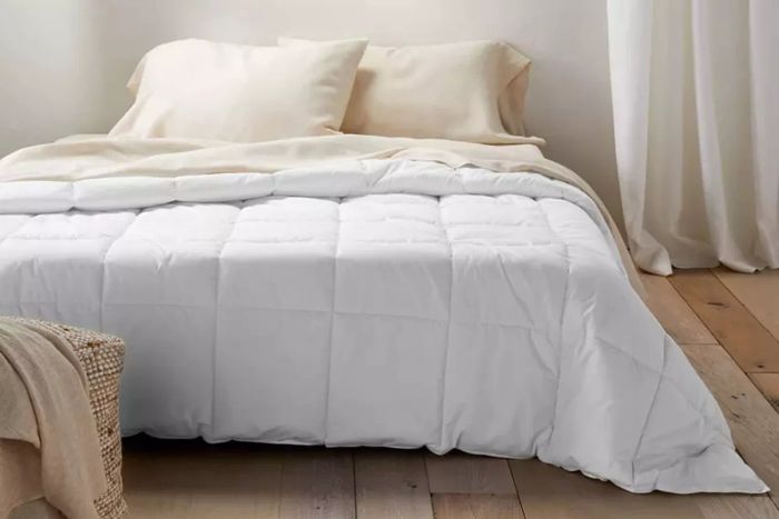 Target Premium Down Alternative Comforter - Casaluna™