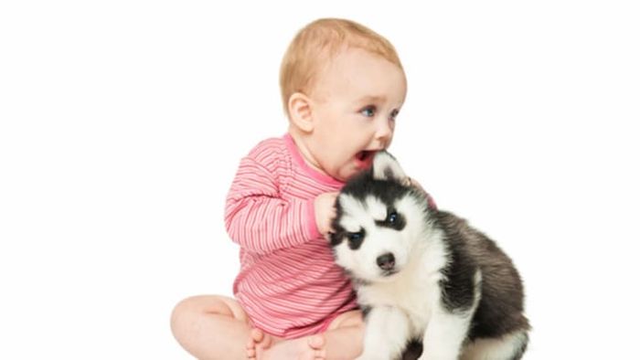 iStock