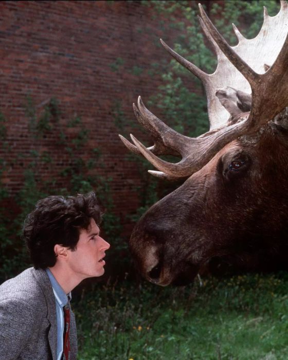 Northern Exposure