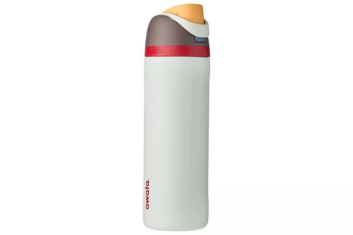 Owala FreeSip Insulated Stainless Steel Water Bottle