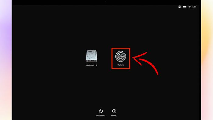 Cách kiểm tra MDM MacBook khi cài lại macOS - bước 1
