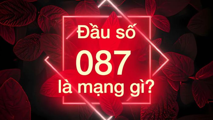 Đầu số 087 là mạng gì?