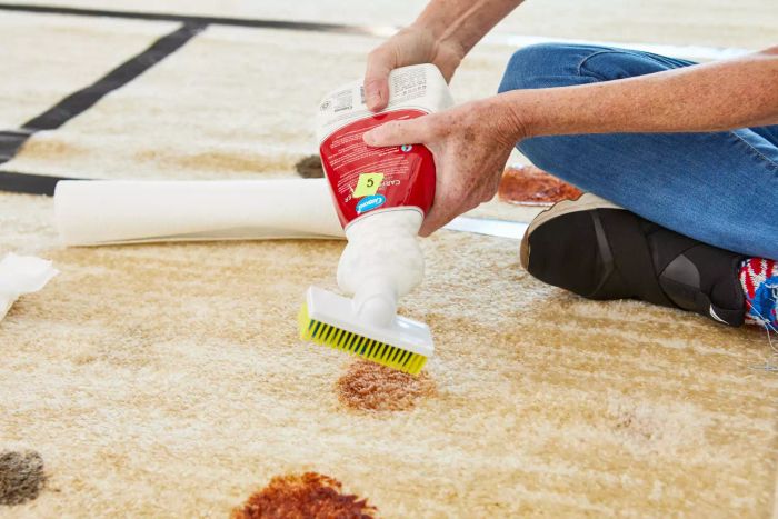 A person uses the integrated brush on the Carbona 2-in-1 Oxy Powered No Scent Carpet Cleaner to scrub a stain from a rug.