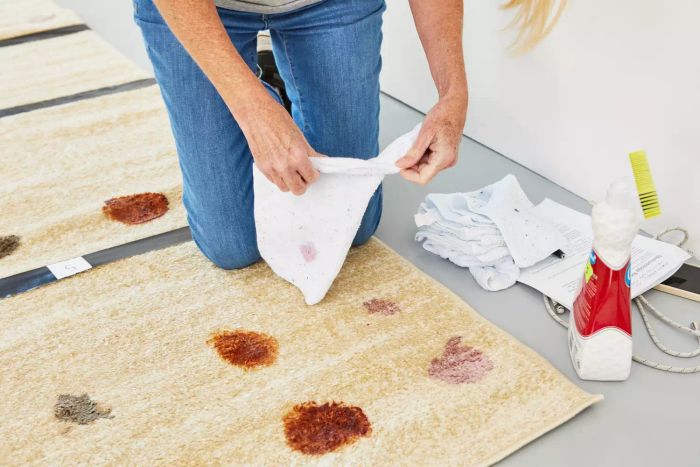A person wipes a stain from a rug after applying the Carbona 2-in-1 Oxy Powered No Scent Carpet Cleaner.