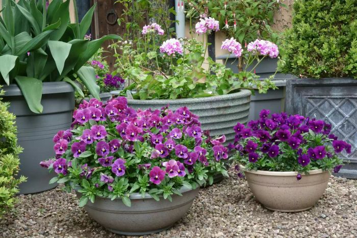 container-garden-GettyImages-475767518