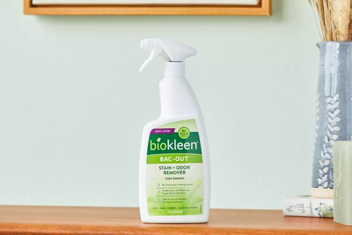 Biokleen Bac-Out Natural Enzyme Stain and Odor Remover sitting on a table beside a potted plant.