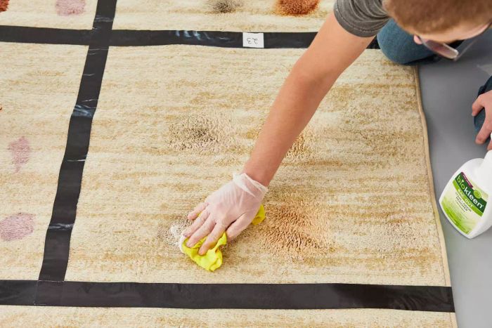 A person applies Biokleen Bac-Out Natural Enzyme Stain and Odor Remover to a carpet for testing.