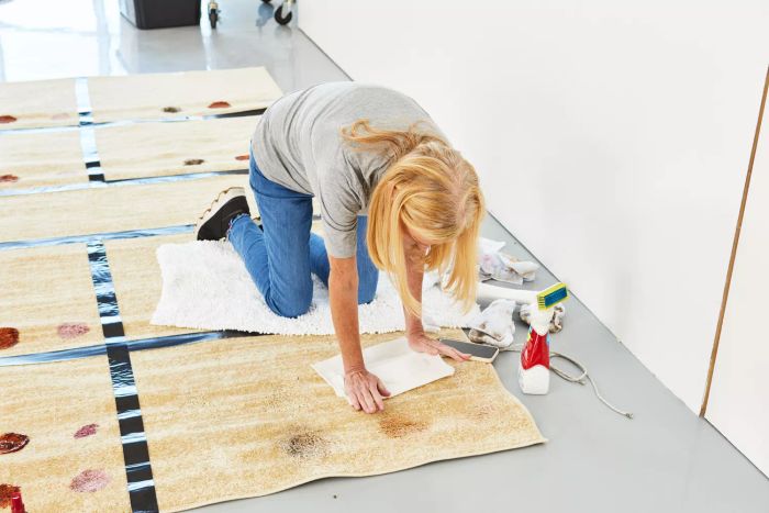 A person wipes away stains from a rug using the Carbona 2-in-1 Oxy Powered No Scent Carpet Cleaner.