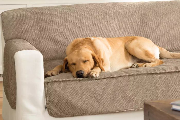Orvis Grip-Tight Furniture Protector