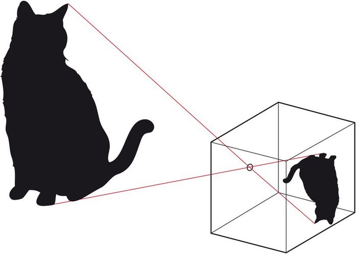 This diagram illustrates how a pinhole camera, or camera obscura, creates projections of images.