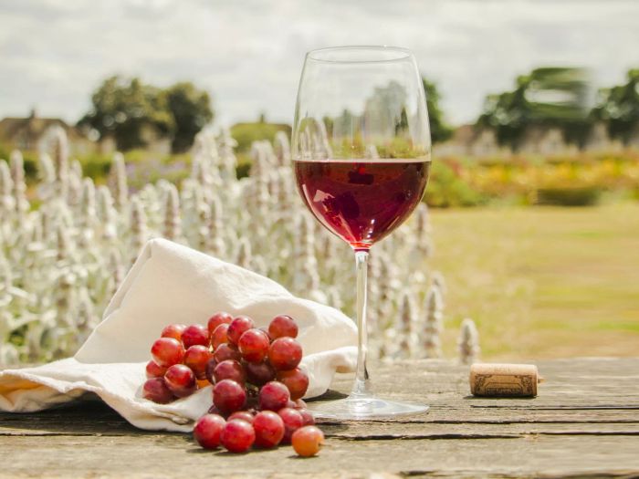 Red Grapes and a Glass of Wine Resting on a Wooden Surface in a Field