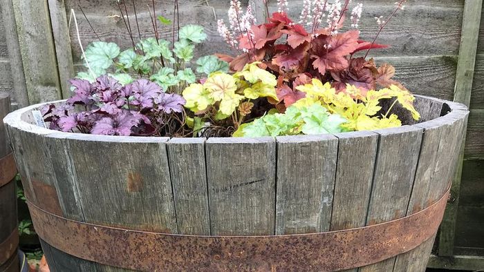 Whiskey Barrel Garden Planter