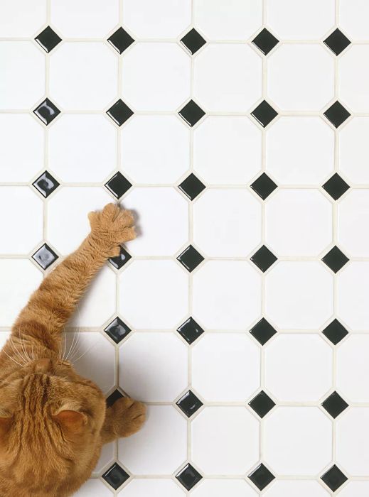Porcelain Tile Flooring