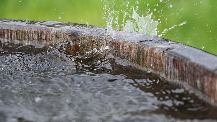 whiskey barrel rain collector