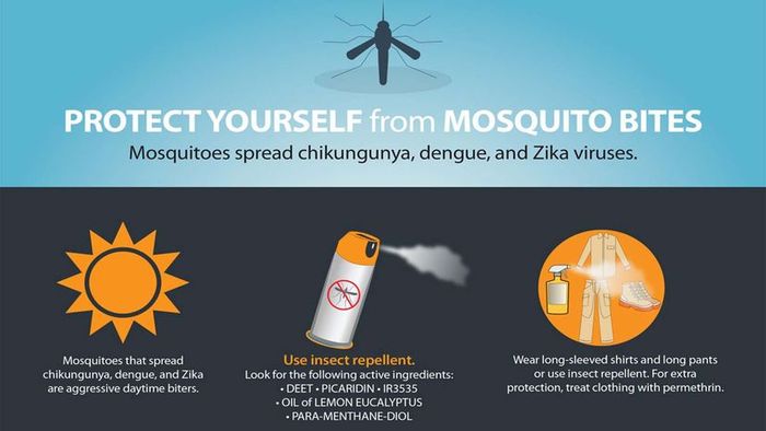 bug repellent