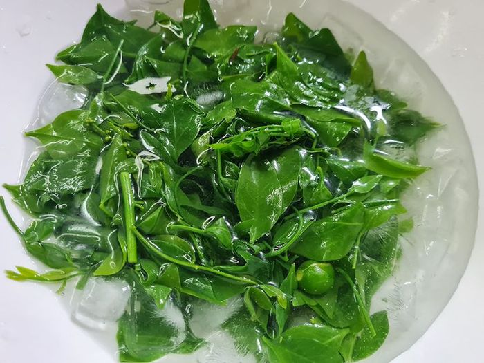 ผักหวานพื้นบ้าน