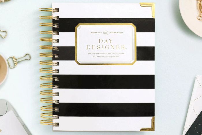 Day Designer 2024 Mini Daily Planner
