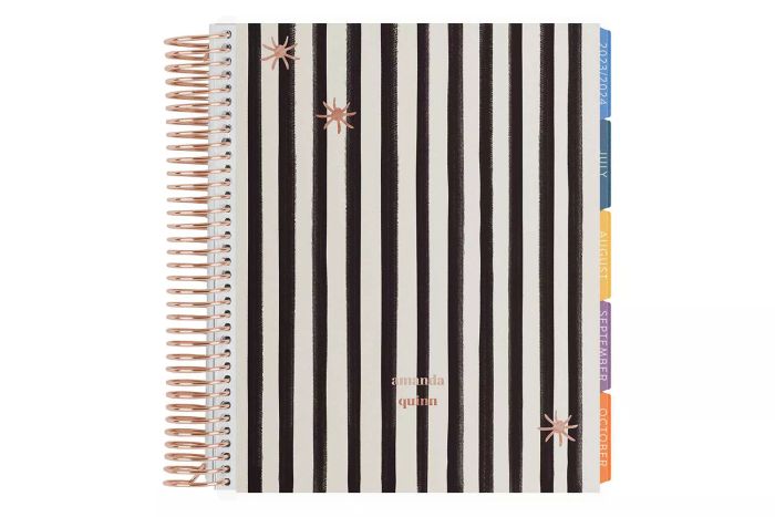 Erin Condren Metallic Stripes and Spiders LifePlanner™