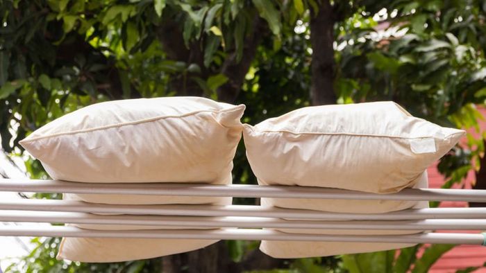 Pillow hanging on the clothesline