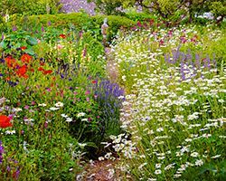 Traditional English Garden
