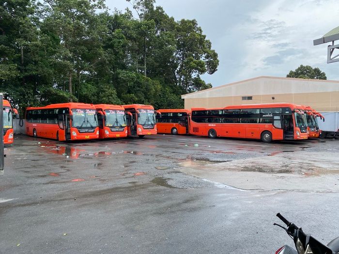 Nhà xe Kim Hoàng: Thông tin chi tiết, hotline, giá vé 2025 2