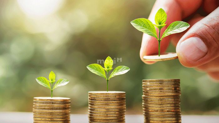 Khả năng sinh lời cao và tiết kiệm chi phí