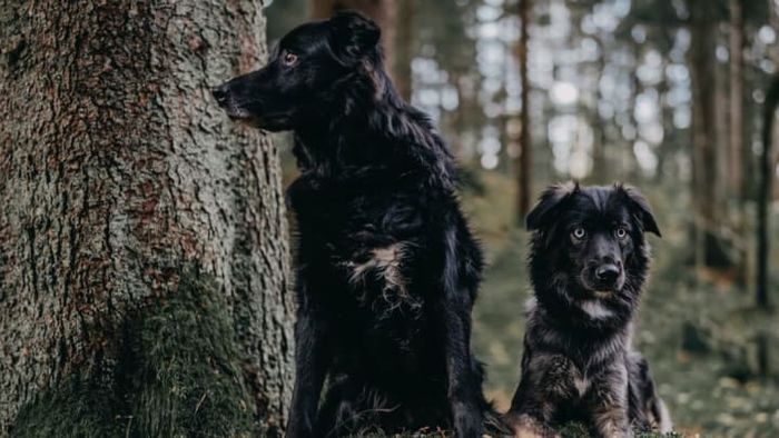 Photo by ?? Janko Ferlič on Unsplash