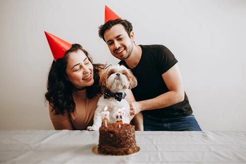Dự đoán tài lộc qua năm sinh
