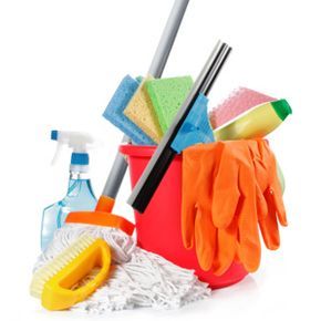 a variety of cleaning products