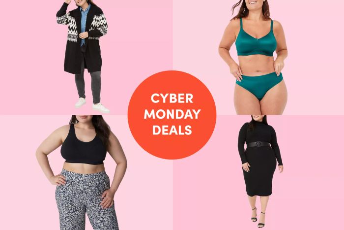 Lane Bryant has slashed prices on hundreds of items, including comfy bras and holiday attire, with savings of up to 65%.