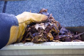 Gutter cleaning