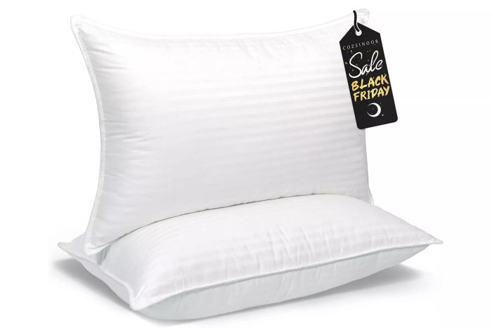 Amazon COZSINOOR Queen Size Bed Pillows Set