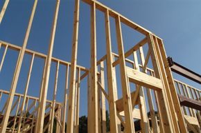Timber studs