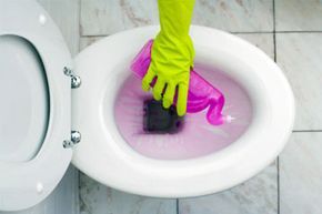 toilet cleaning