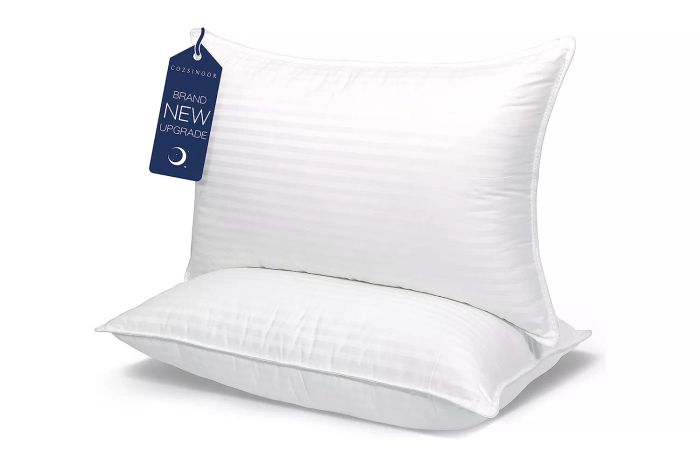 COZSINOOR Queen Size Cooling Bed Pillows on Amazon