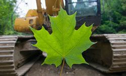 A leaf rests in front of a bulldozer, symbolizing the contrast between nature and development.